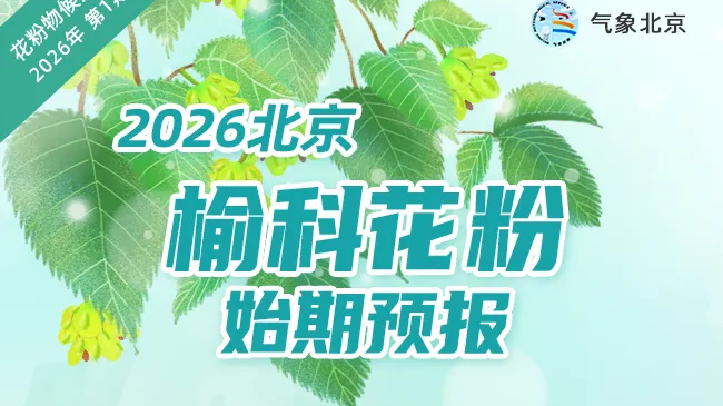 北京花粉季提前!已进致敏高发期 北京花粉季提前!已进致敏高发期