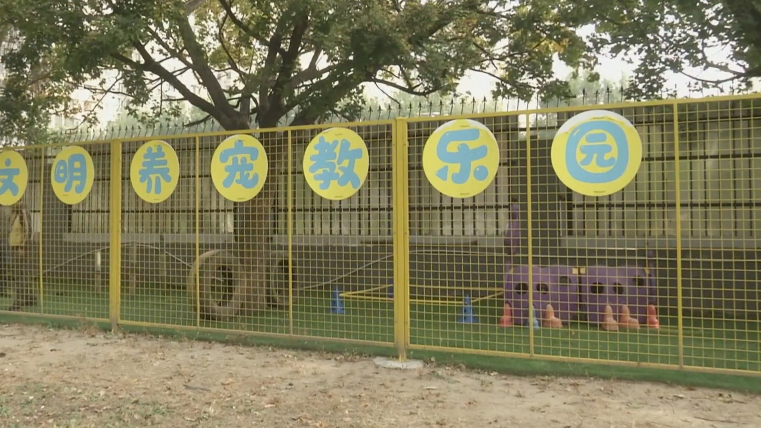 《北京市养犬管理规定（修正草案）》提请审议 拟规定犬只登记前须植入电子标识