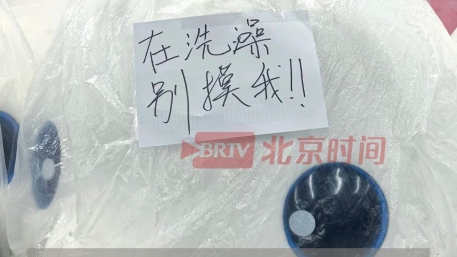 “喜洋洋”“乐融融”被“关起来洗澡”,为残特奥会开幕式做准备 “喜洋洋”“乐融融”被“关起来洗澡”,为残特奥会开幕式做准备