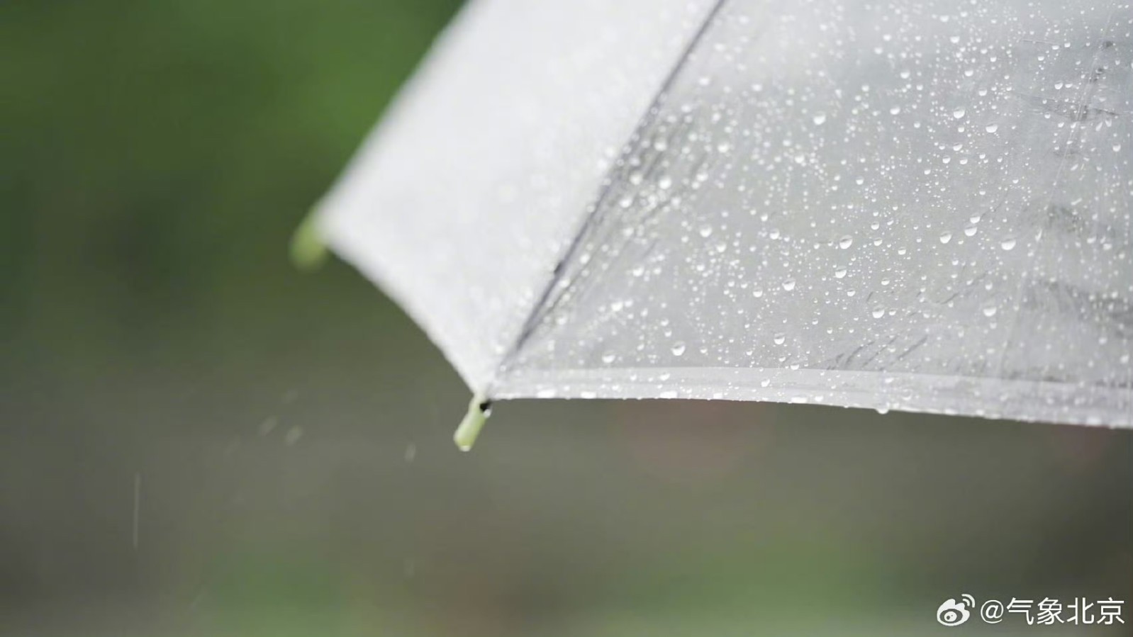 雨水送清凉 出门要带伞!最高气温30℃ 雨水送清凉 出门要带伞!最高气温30℃