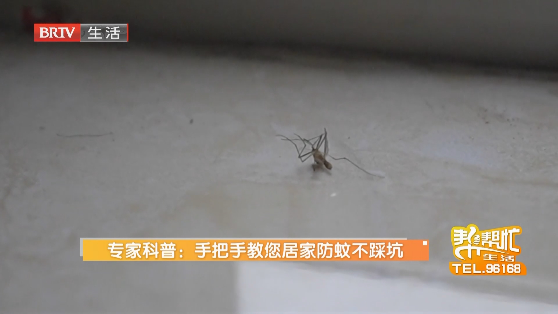 专家科普：手把手教您居家防蚊不踩坑