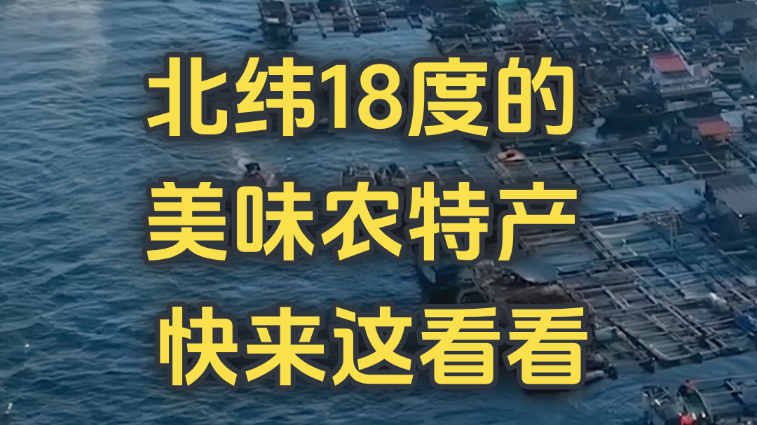 北纬18度的 美味农特产 快来这看看