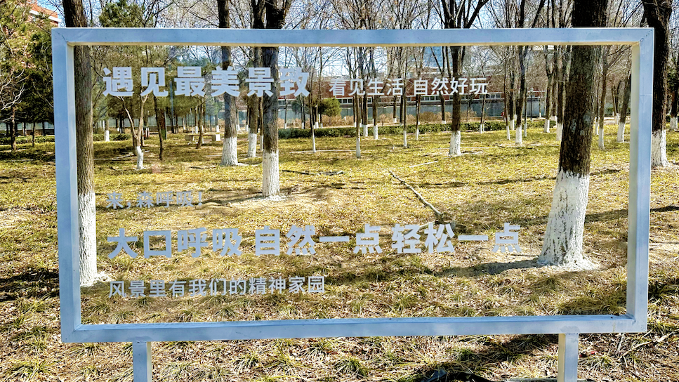 京城春早启新程 | 乐学公园里的春天,一草一木皆“学问” 京城春早启新程 | 乐学公园里的春天,一草一木皆“学问”