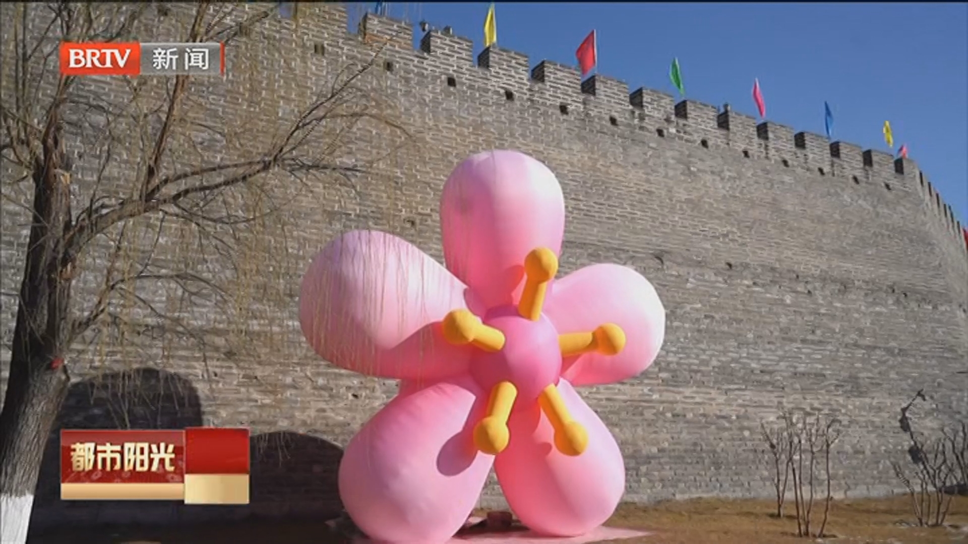 《都市阳光》20260320