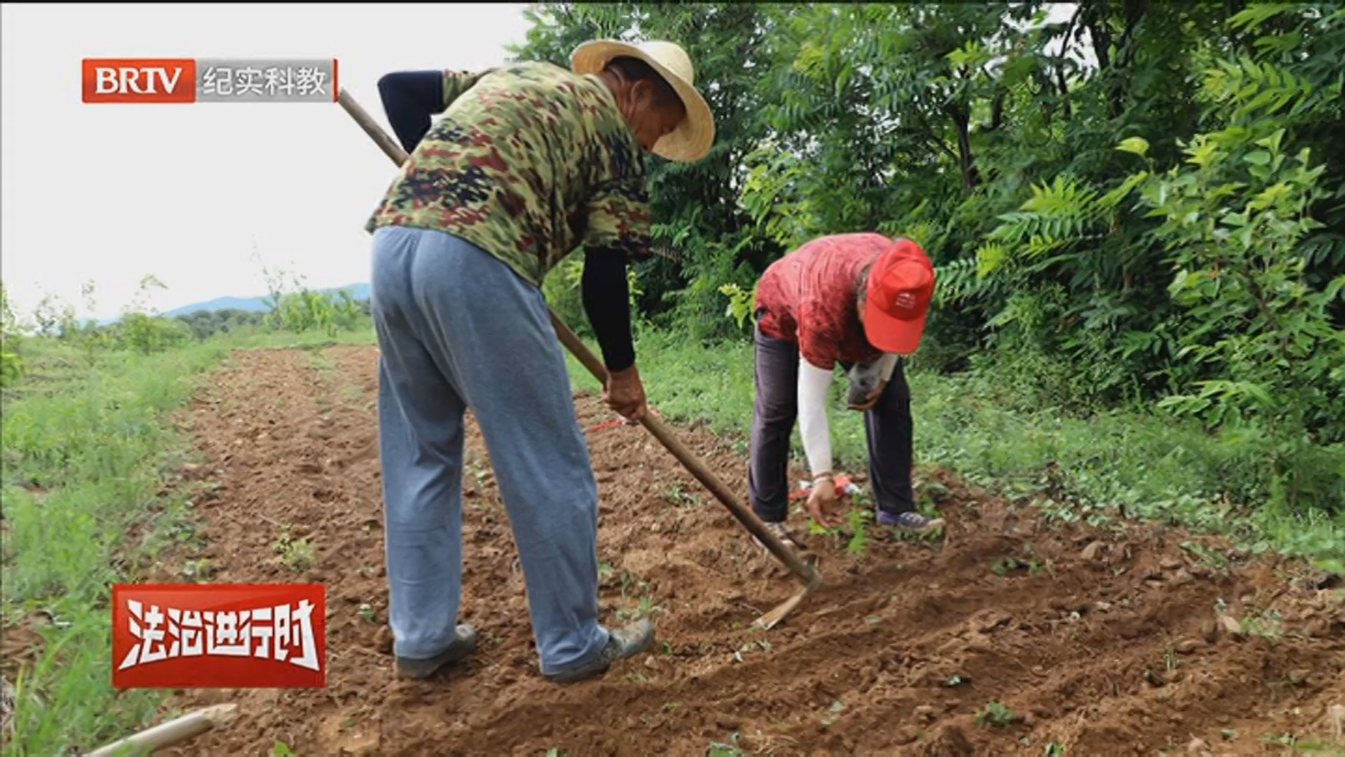 《法治进行时》20241205与社区联动 市场监管规范营销环境