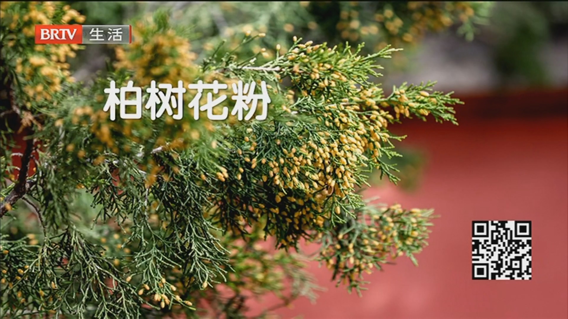 《生活这一刻》20260325