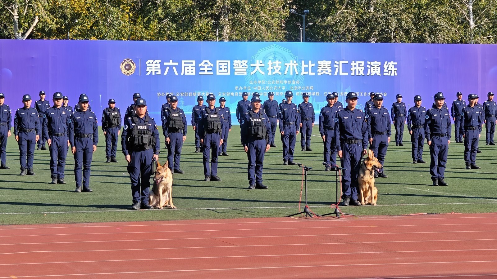 精彩!警犬技术大比拼! 精彩!警犬技术大比拼!