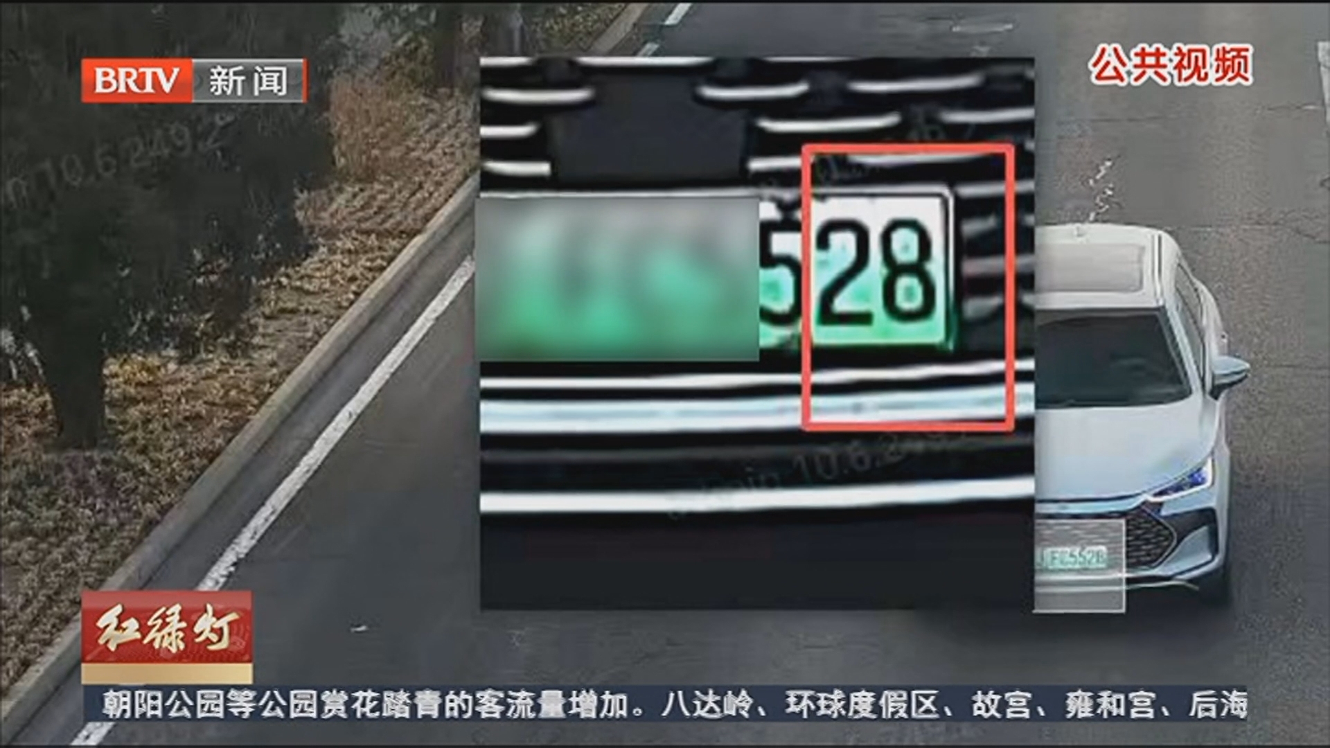 《红绿灯》20260316