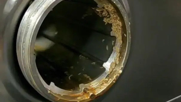 太恶心!食堂绞肉机内发现蛆虫 官方通报:情况属实 全面消杀 太恶心!食堂绞肉机内发现蛆虫 官方通报:情况属实 全面消杀