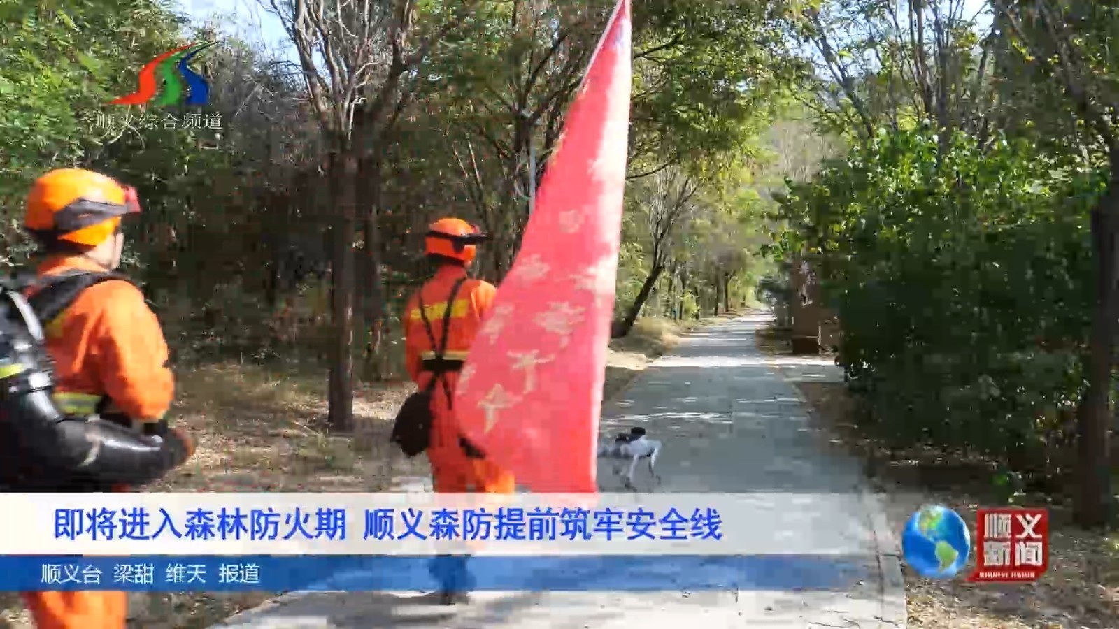 即将进入森林防火期 顺义森防提前筑牢安全线 即将进入森林防火期 顺义森防提前筑牢安全线