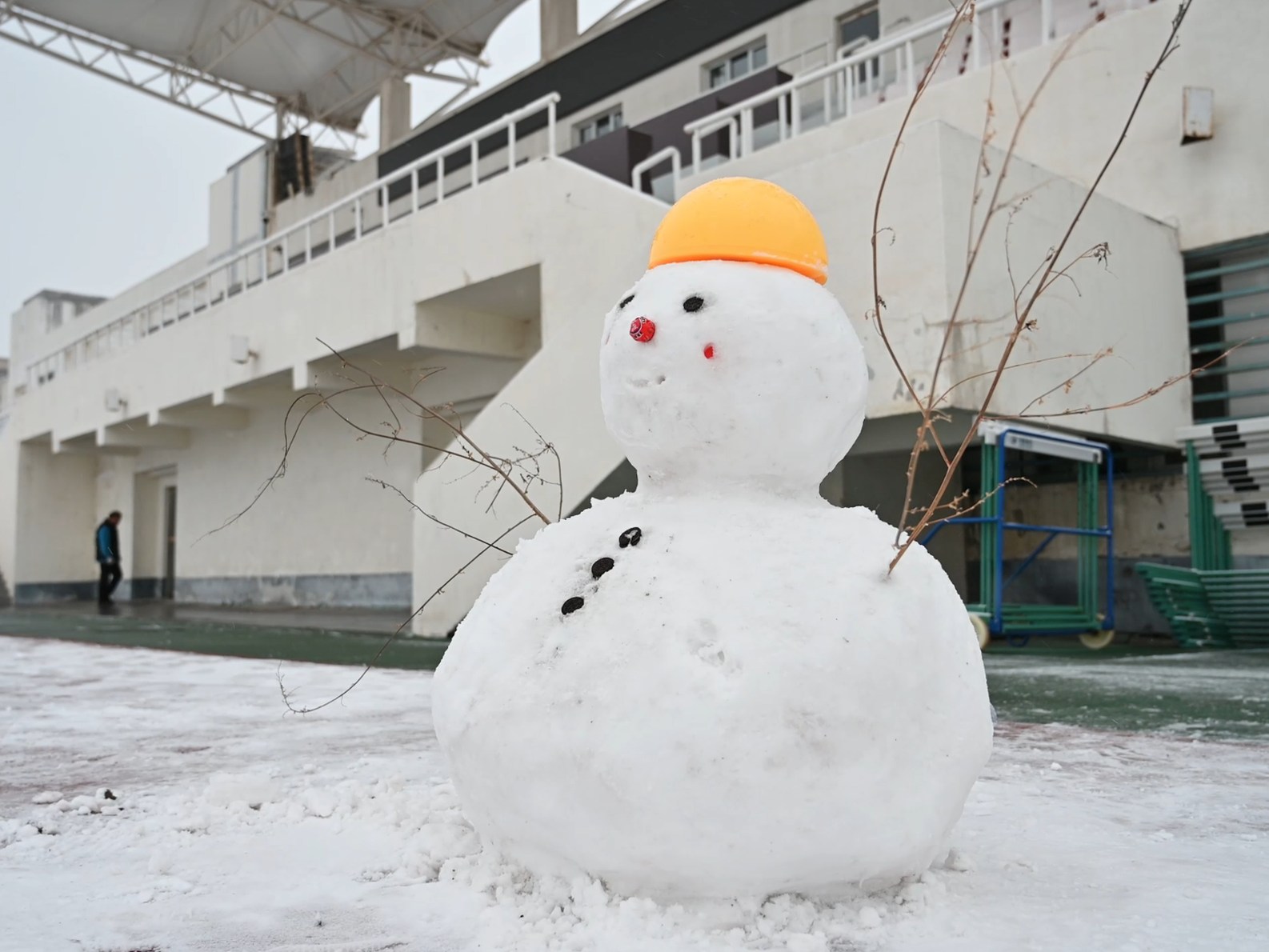 高校初雪上线!收获满格的青春快乐 高校初雪上线!收获满格的青春快乐