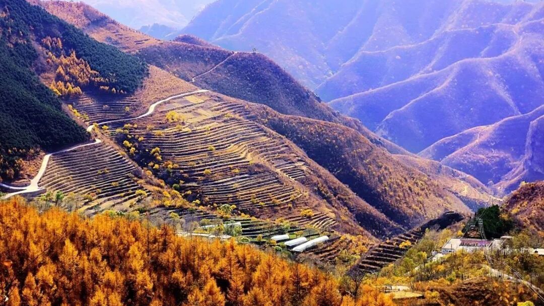 来“北京西极”，追一场如画的秋