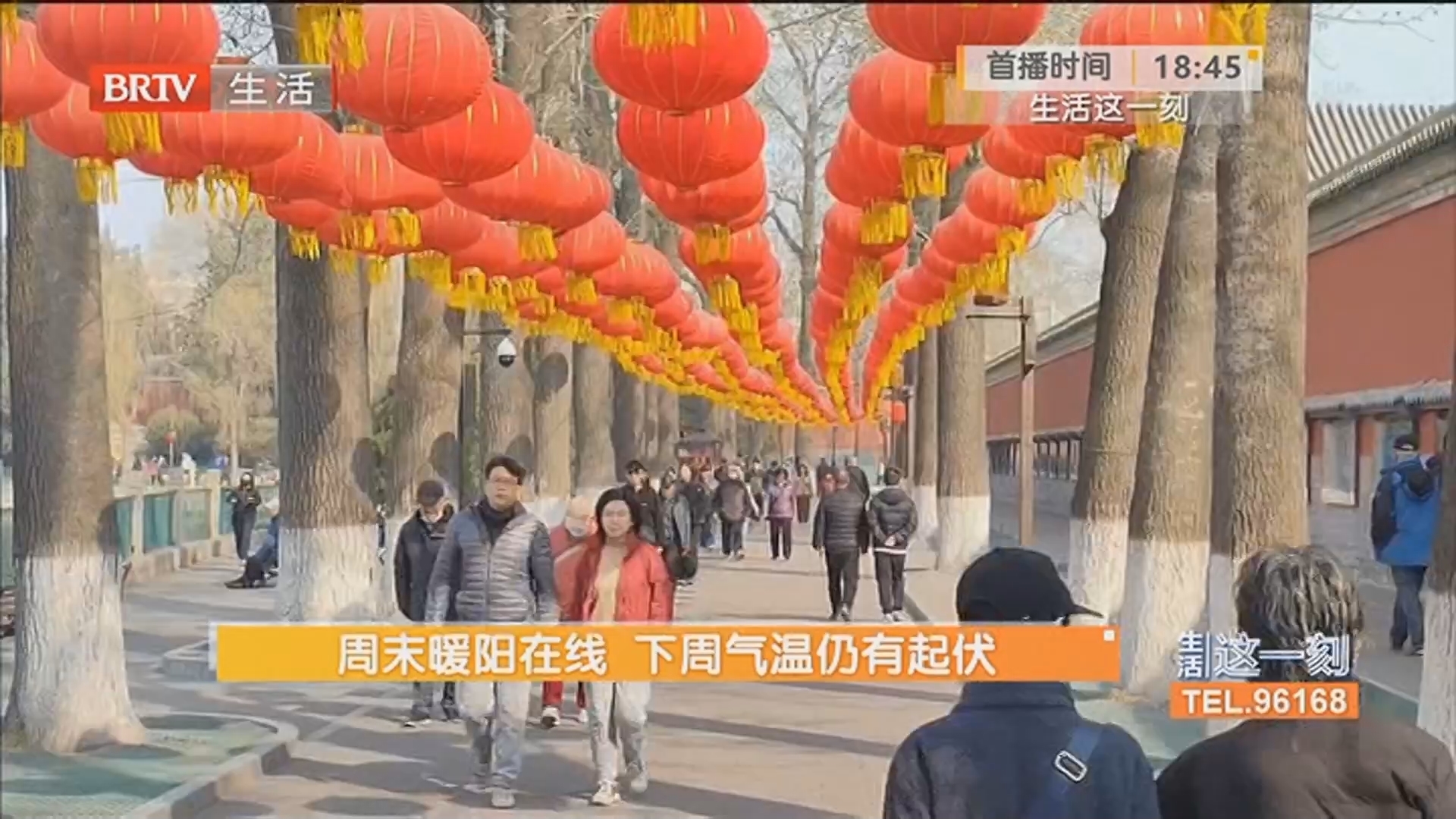 暖阳在线宜出行 迎春花开醉游人 震撼！北京国家植物园上空现鸟群涌浪