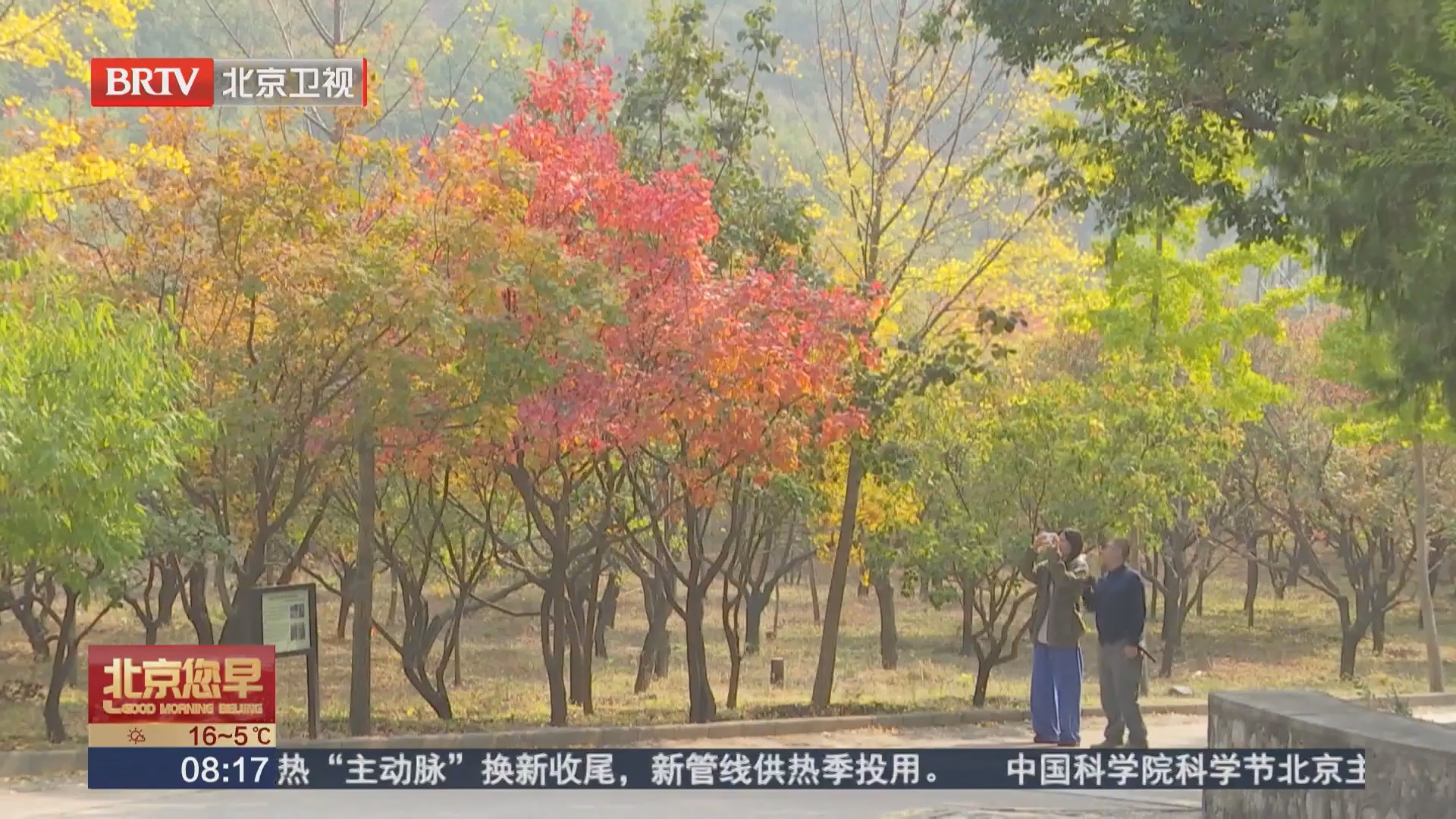 昌平：蟒山层林染秋色 红叶迎来观赏佳期
