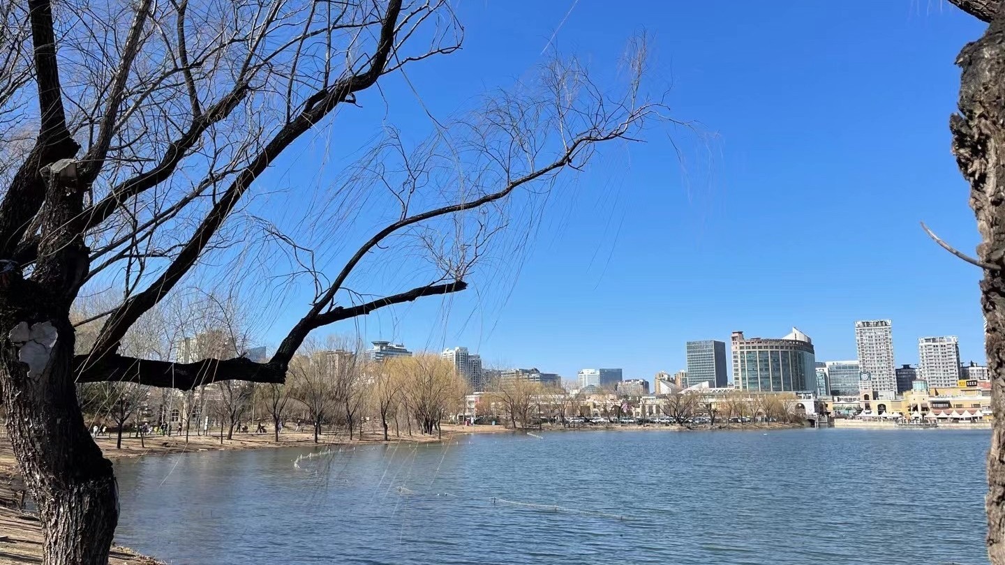 大风+降温又又又来了!冷空气再发力!今天阵风六七级 大风+降温又又又来了!冷空气再发力!今天阵风六七级