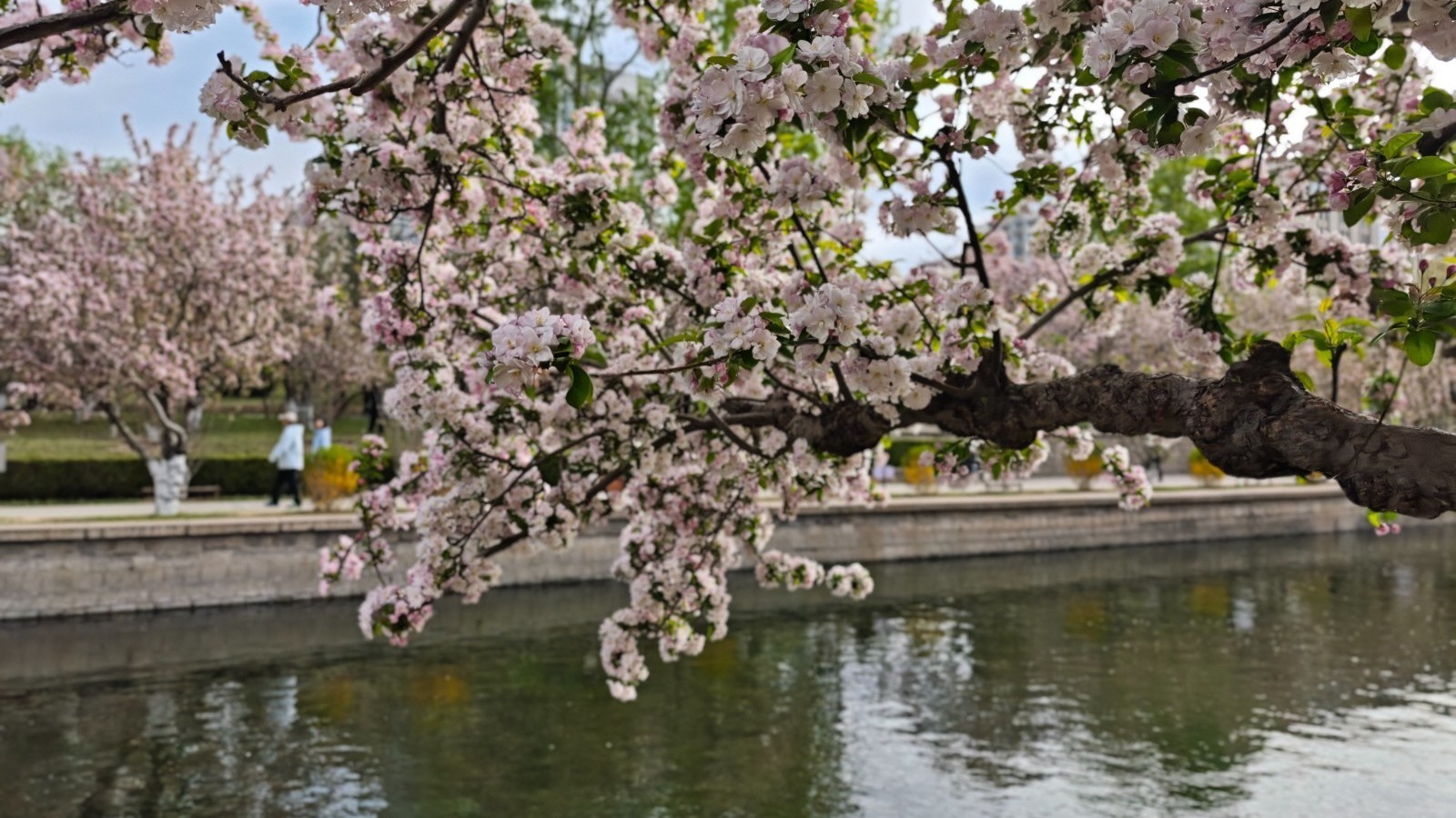 春雨过后气温回升 今天最高26℃