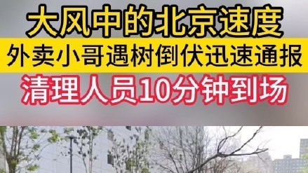 大风中的北京速度！外卖小哥汇报倒伏树木，工作人员10分钟到场处理！