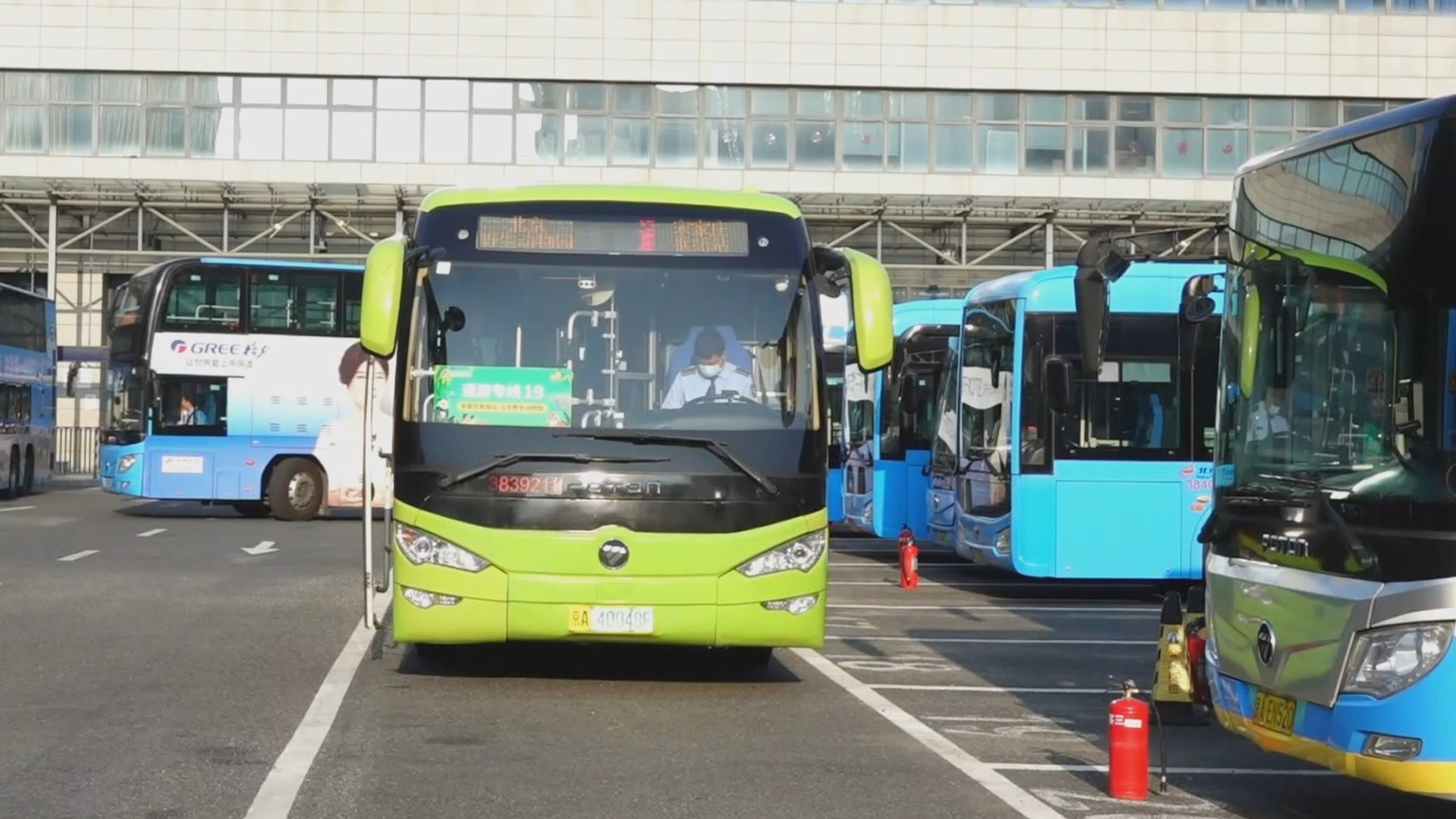 北京公交新开通游专线19直达北京野生动物园 北京公交新开通游专线19直达北京野生动物园