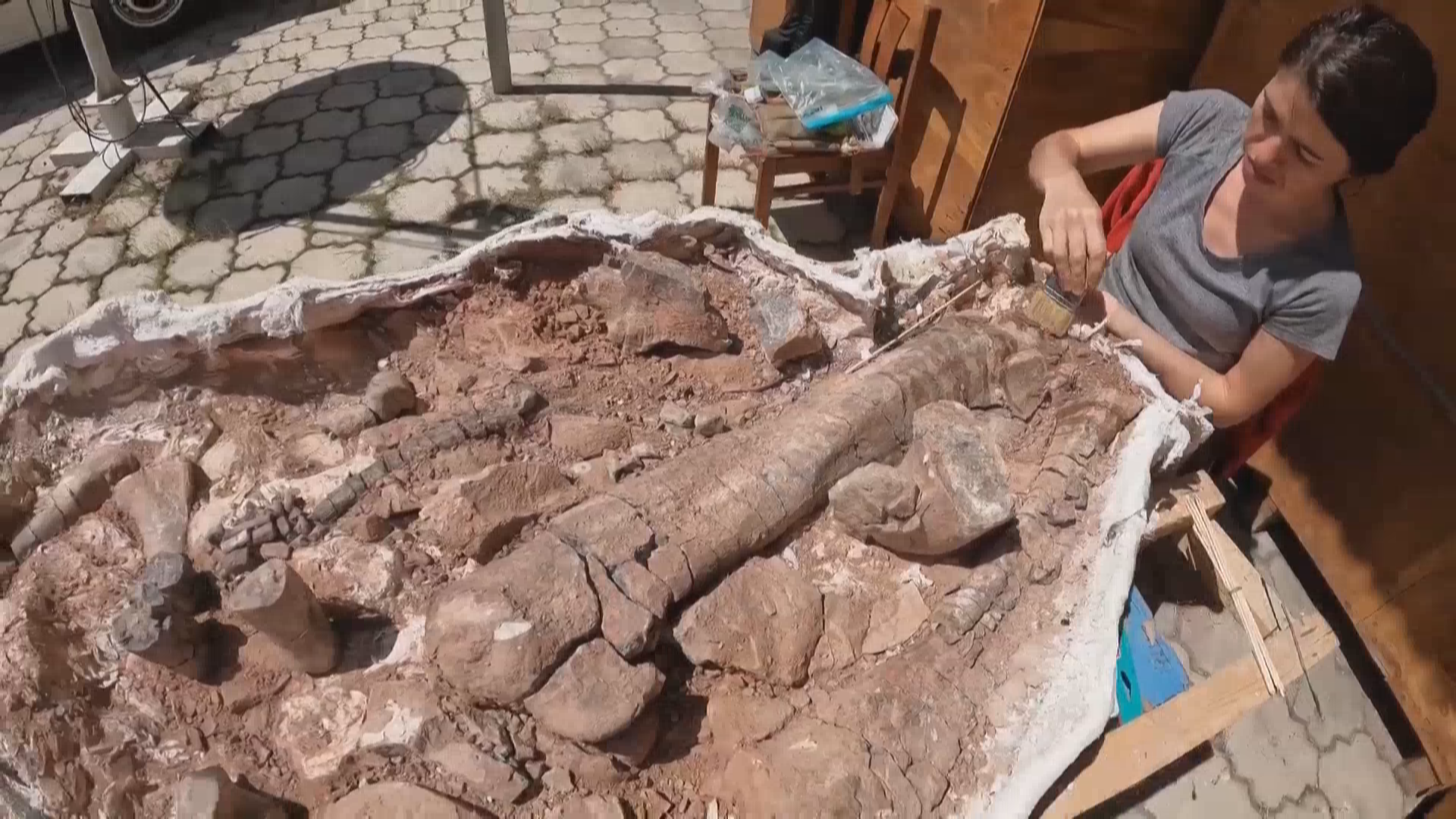 吉尔吉斯斯坦首次发现兽脚亚目恐龙化石