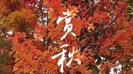 古城公园藏秋韵 层林尽染入画屏
