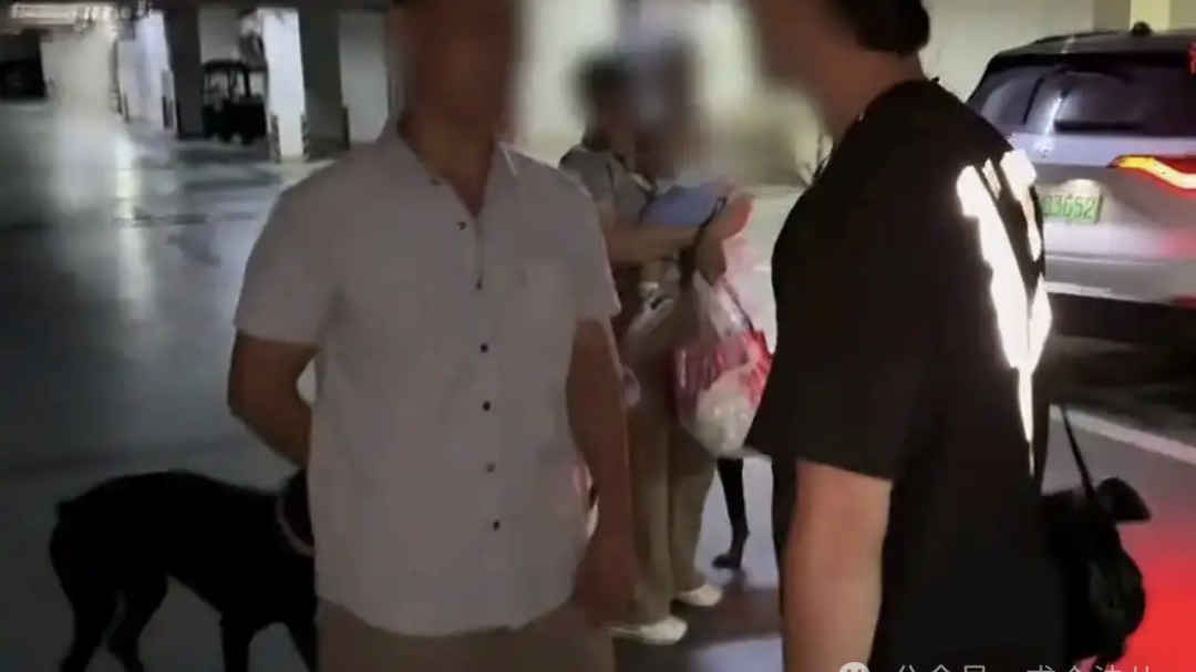 两只杜宾犬没拴绳扑向两岁孩子，背后的法律账，你算过吗？