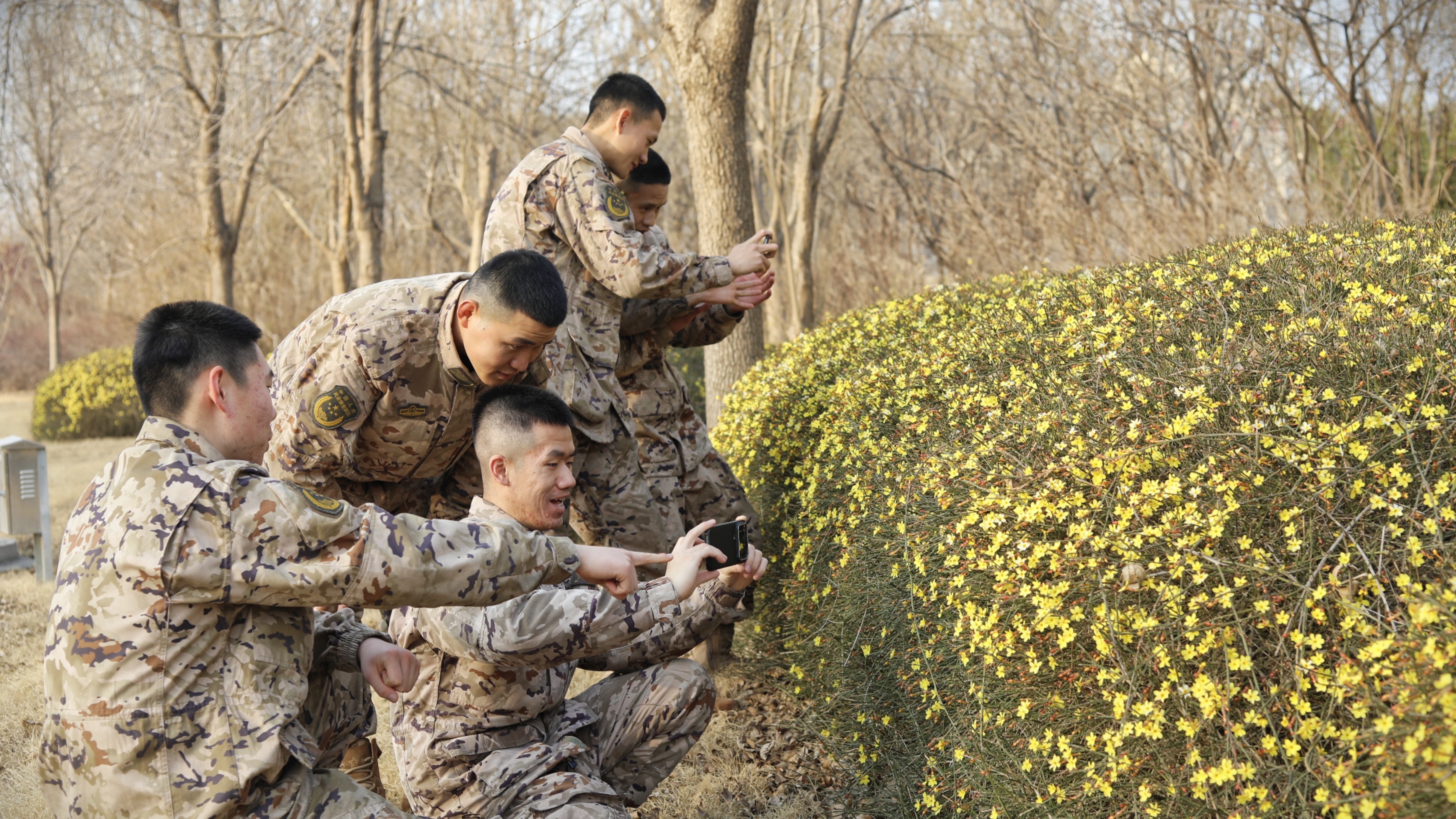 军营春色,共寻让你怦然心动的一抹春色 军营春色,共寻让你怦然心动的一抹春色