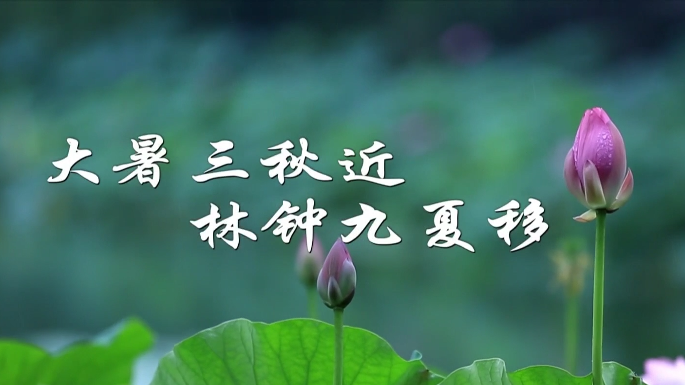 小暑不算暑，大暑正伏天_北京时间