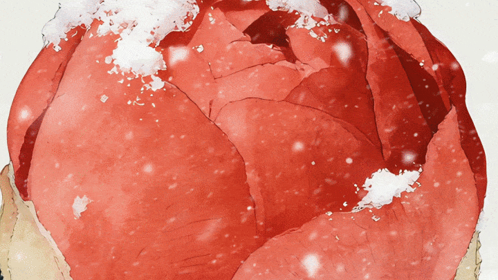 人间好时节｜冬至阳生 春归有期