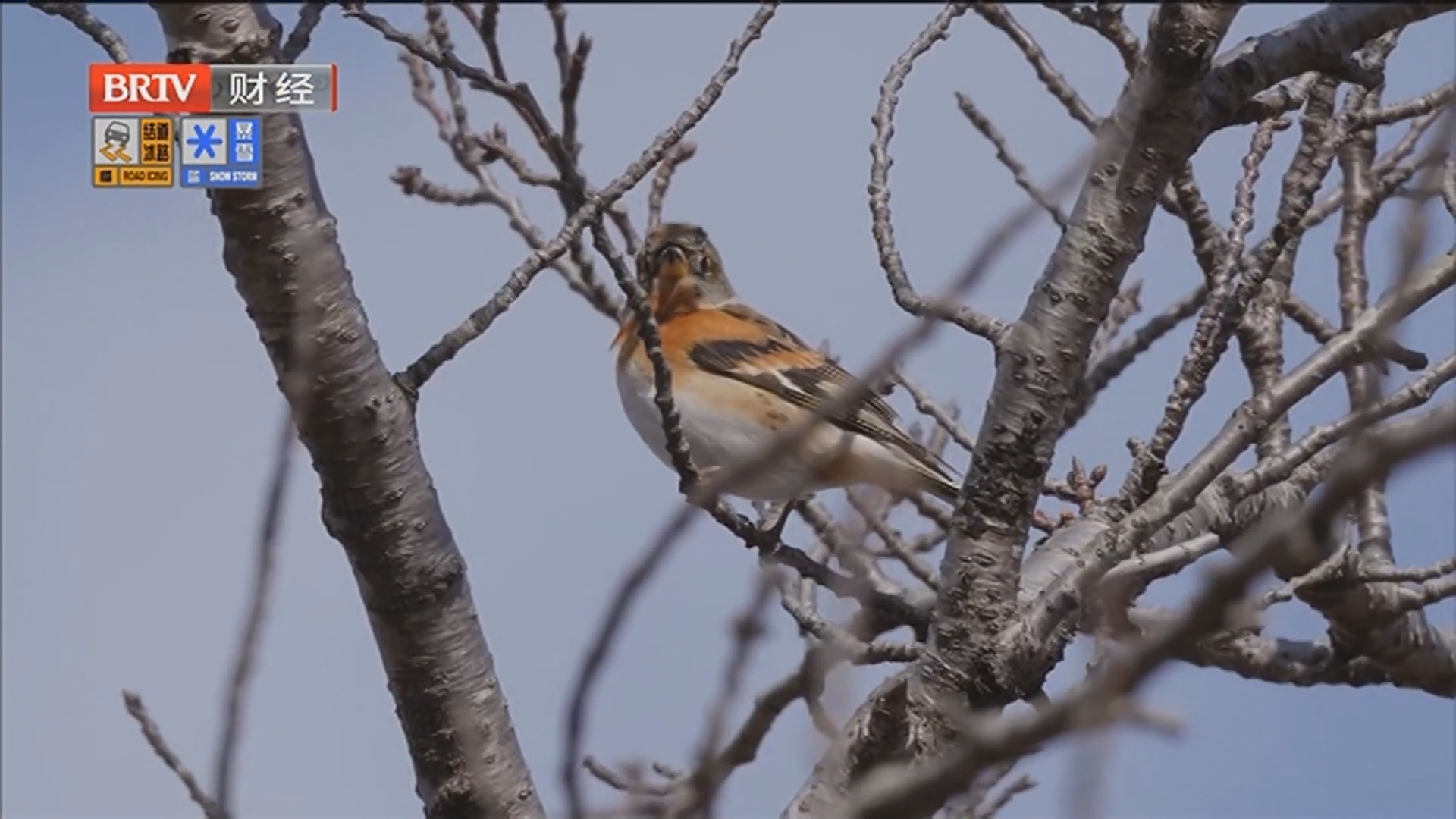 《首都经济报道》20251212明年经济工作怎么干 中央经济工作会议定调 《首都经济报道》20251212明年经济工作怎么干 中央经济工作会议定调