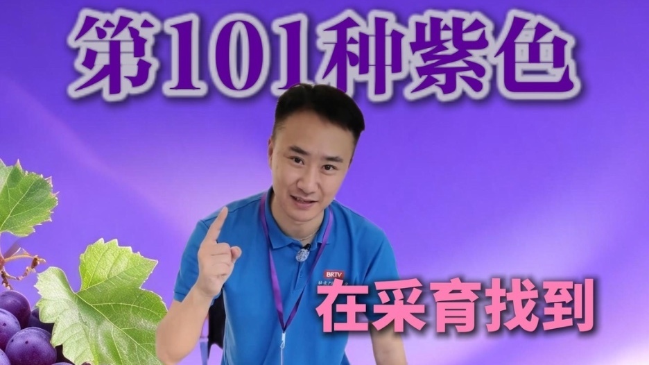 挑战！在采育找到第101种紫色