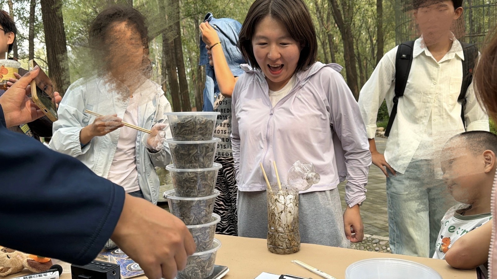 美国白蛾，收你的人来啦！“抓毛毛虫大赛”3天捕捉12万条