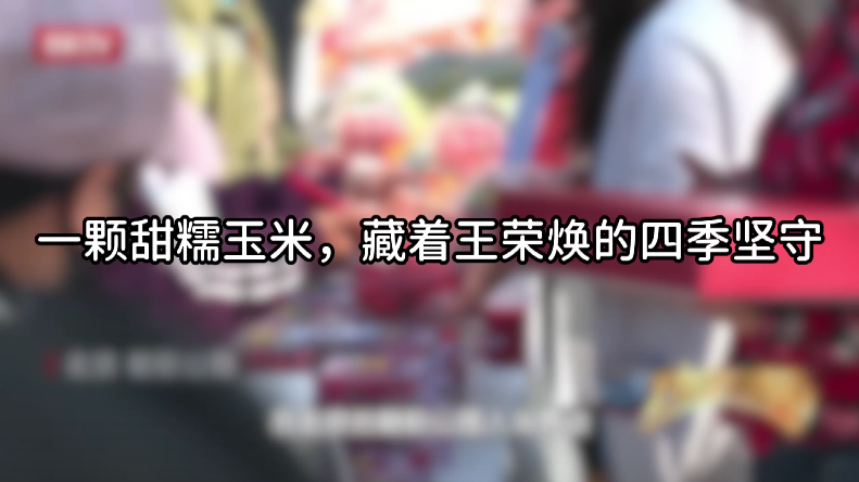 一颗甜糯玉米藏着王荣焕的四季坚守 一颗甜糯玉米藏着王荣焕的四季坚守