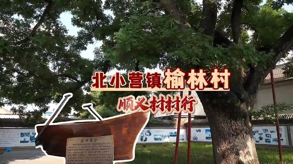 顺义村村行 | 北小营镇榆林村:古渡古槐留乡愁,生态民生双提升。 顺义村村行 | 北小营镇榆林村:古渡古槐留乡愁,生态民生双提升。