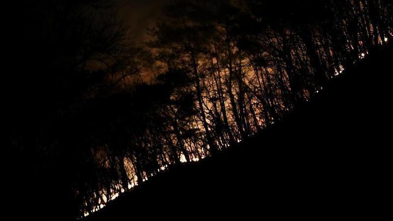 死亡人数升至30人！韩国多地山火复燃