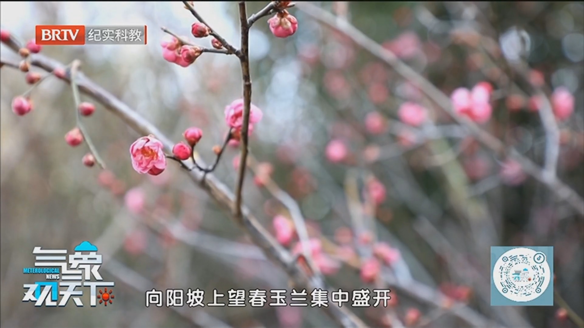 《气象观天下》20260322气温起伏不定 厚衣服还不能脱 《气象观天下》20260322气温起伏不定 厚衣服还不能脱