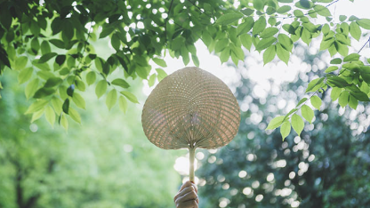 北方迎今年首场高温天气过程 大数据揭秘哪里热得越来越早了 北方迎今年首场高温天气过程 大数据揭秘哪里热得越来越早了