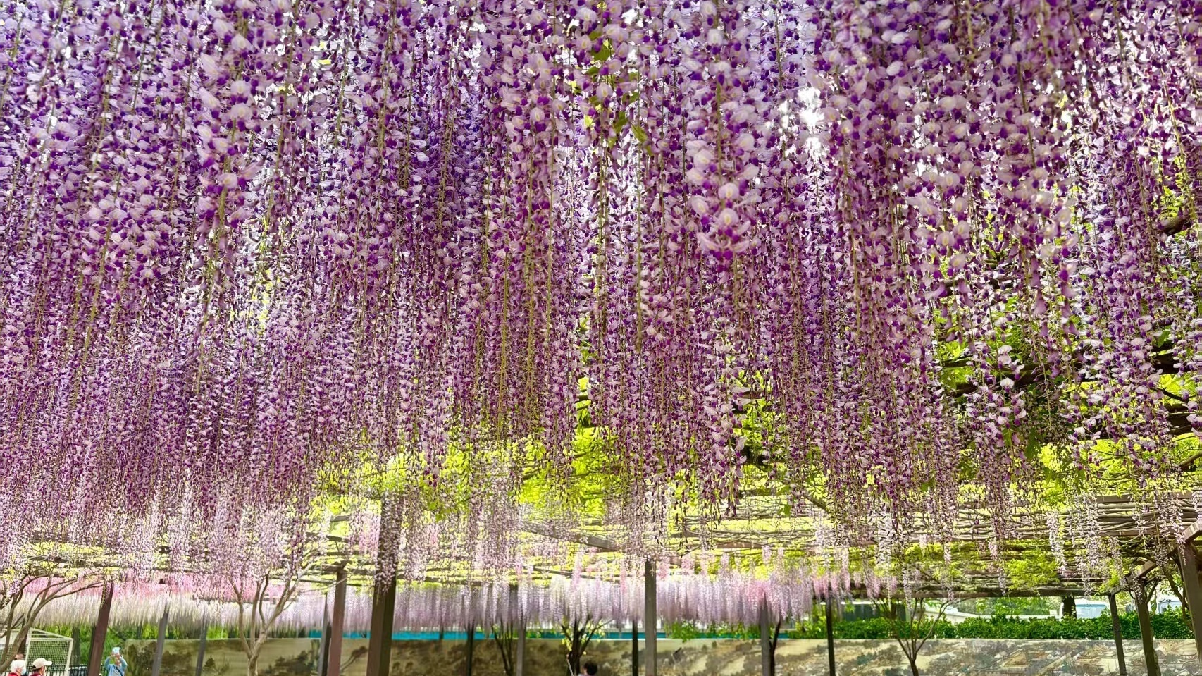 北京发布首个“公园治愈指南”，推荐30处“休闲秘境”