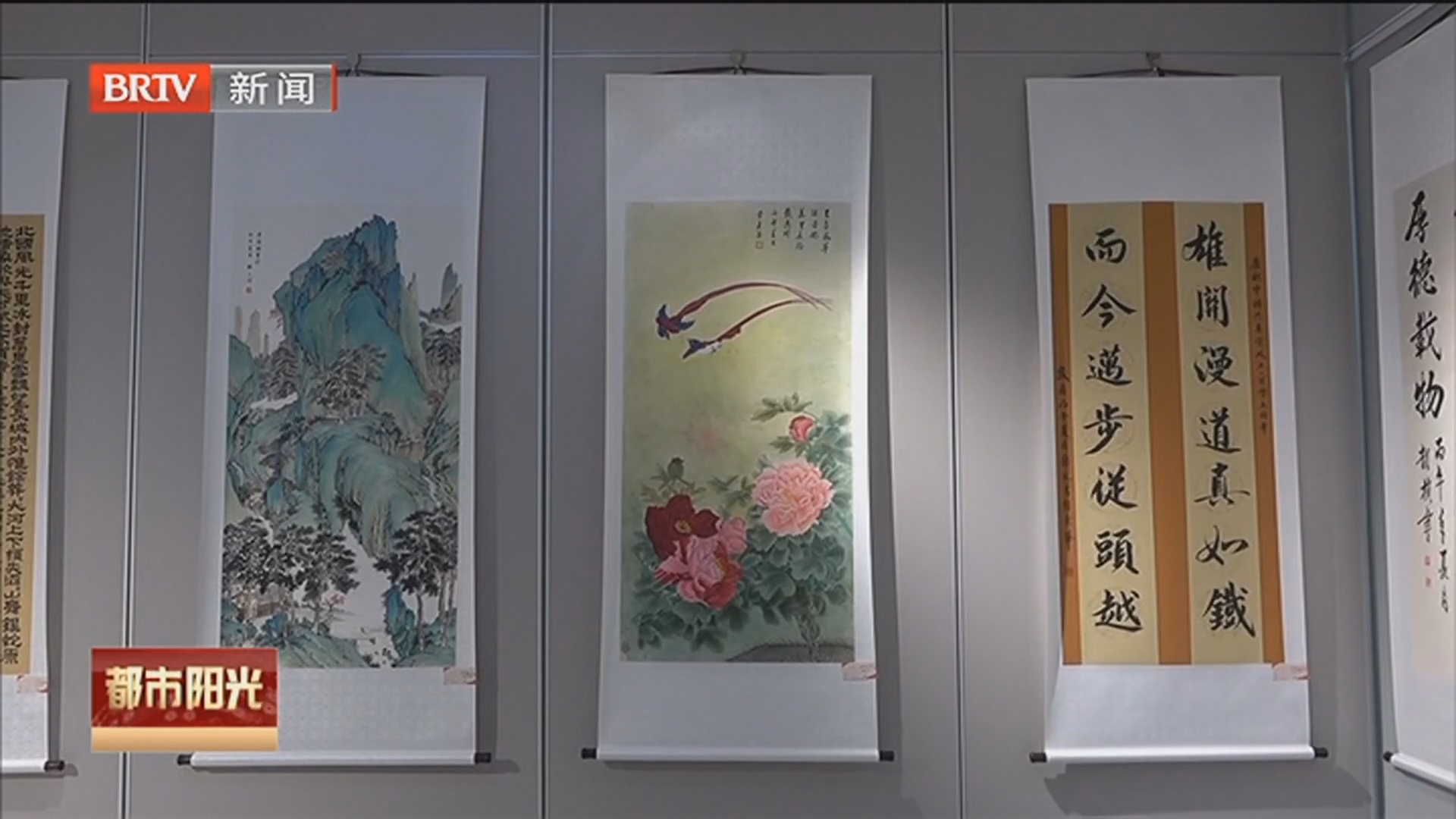 《都市阳光》20260707