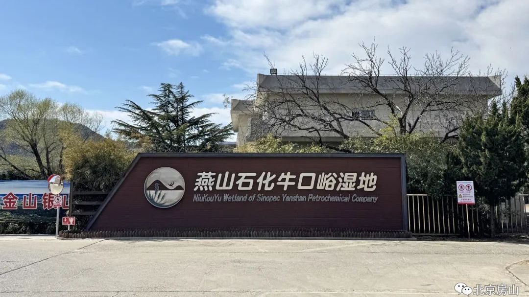 房山能划船的地儿不多,这算一个 房山能划船的地儿不多,这算一个