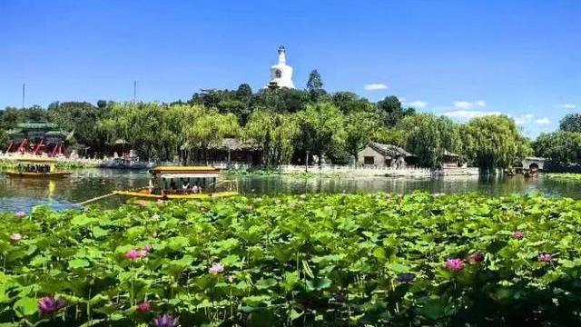 北海公园荷花节开幕 两条游线等您来打卡