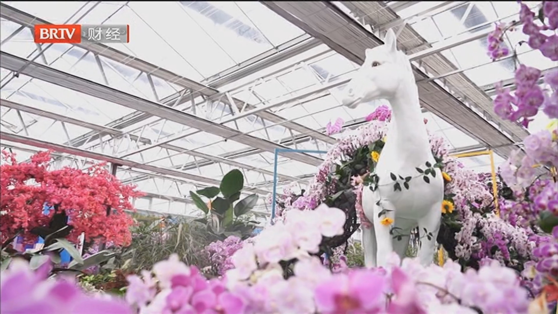 《首都经济报道》20260306扩内需促消费 “她经济”激活新动能