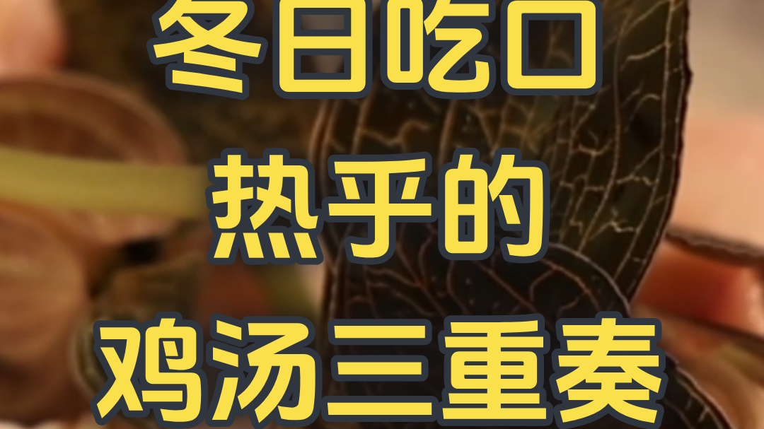 冬日吃口热乎的 鸡汤三重奏