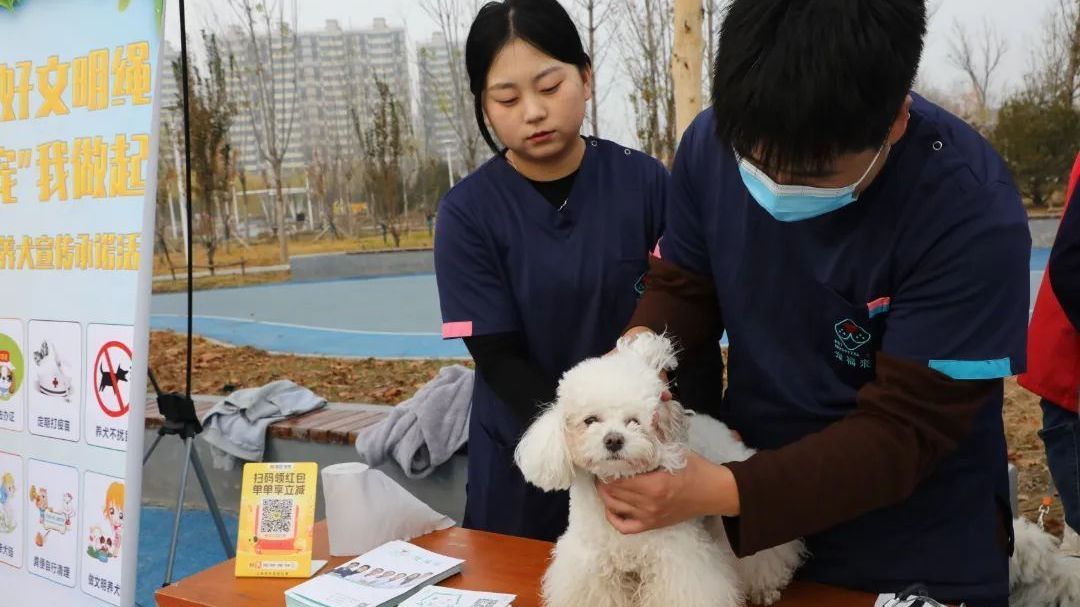 大兴区观音寺街道:一场宠爱与文明的“双向奔赴”在这里精彩上演 大兴区观音寺街道:一场宠爱与文明的“双向奔赴”在这里精彩上演