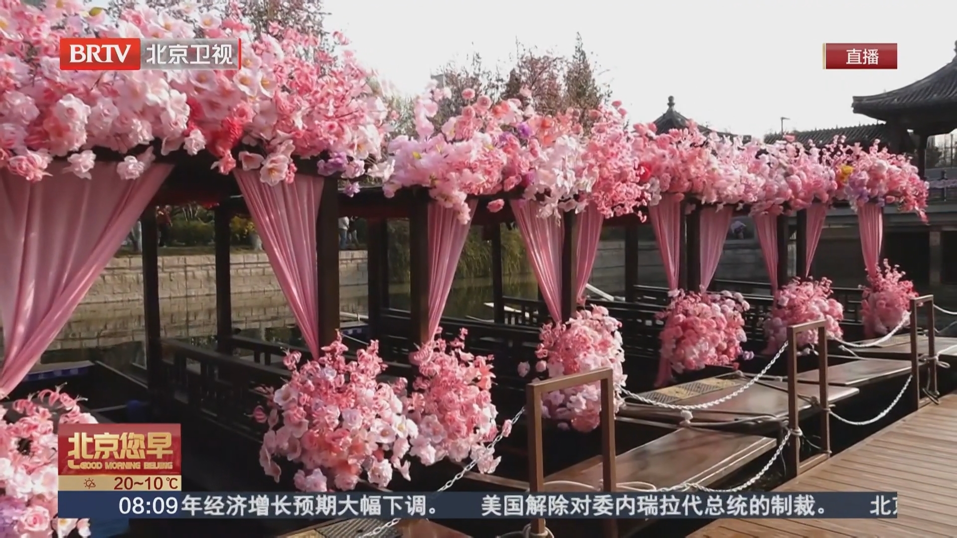 “海棠花溪”游船今日再起航 鲜花规模较往年翻一倍 “海棠花溪”游船今日再起航 鲜花规模较往年翻一倍