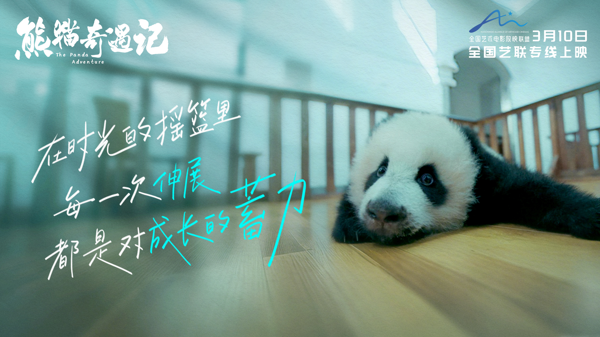 《熊猫奇遇记》登上大银幕:一场主流媒体的温情变革 《熊猫奇遇记》登上大银幕:一场主流媒体的温情变革