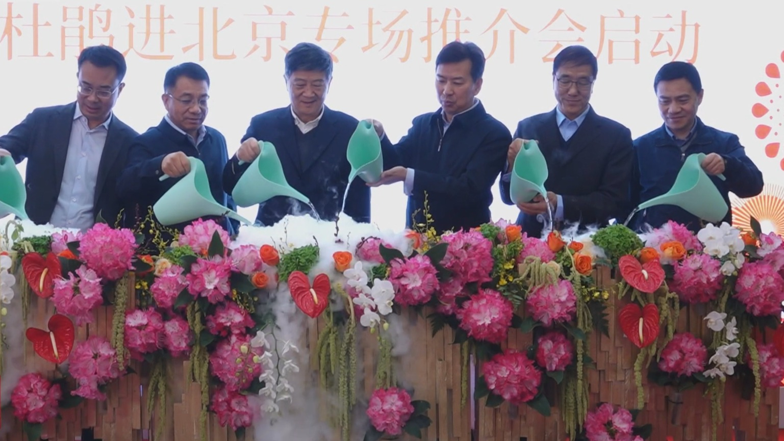 福满京城 春贺神州丨小年迎来售花高峰 50万盆高山杜鹃进京
