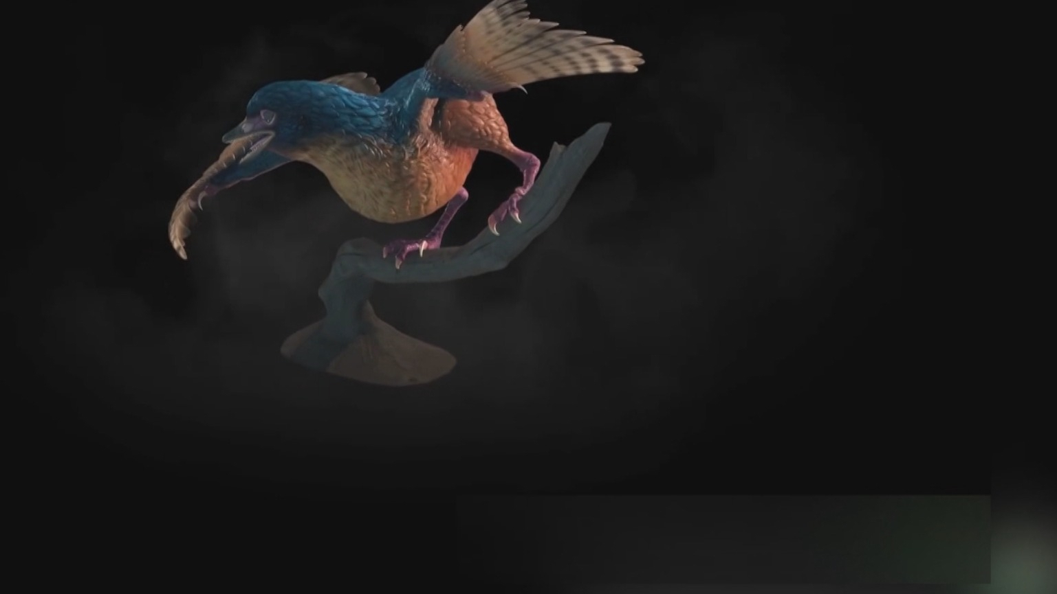 改写鸟类演化历史 中国发现世界上最古老的鸟类化石 改写鸟类演化历史 中国发现世界上最古老的鸟类化石