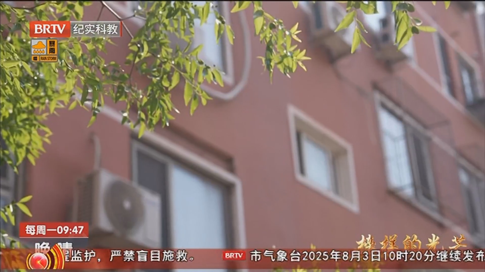 《晚晴》20250804迎难而上 信念如初