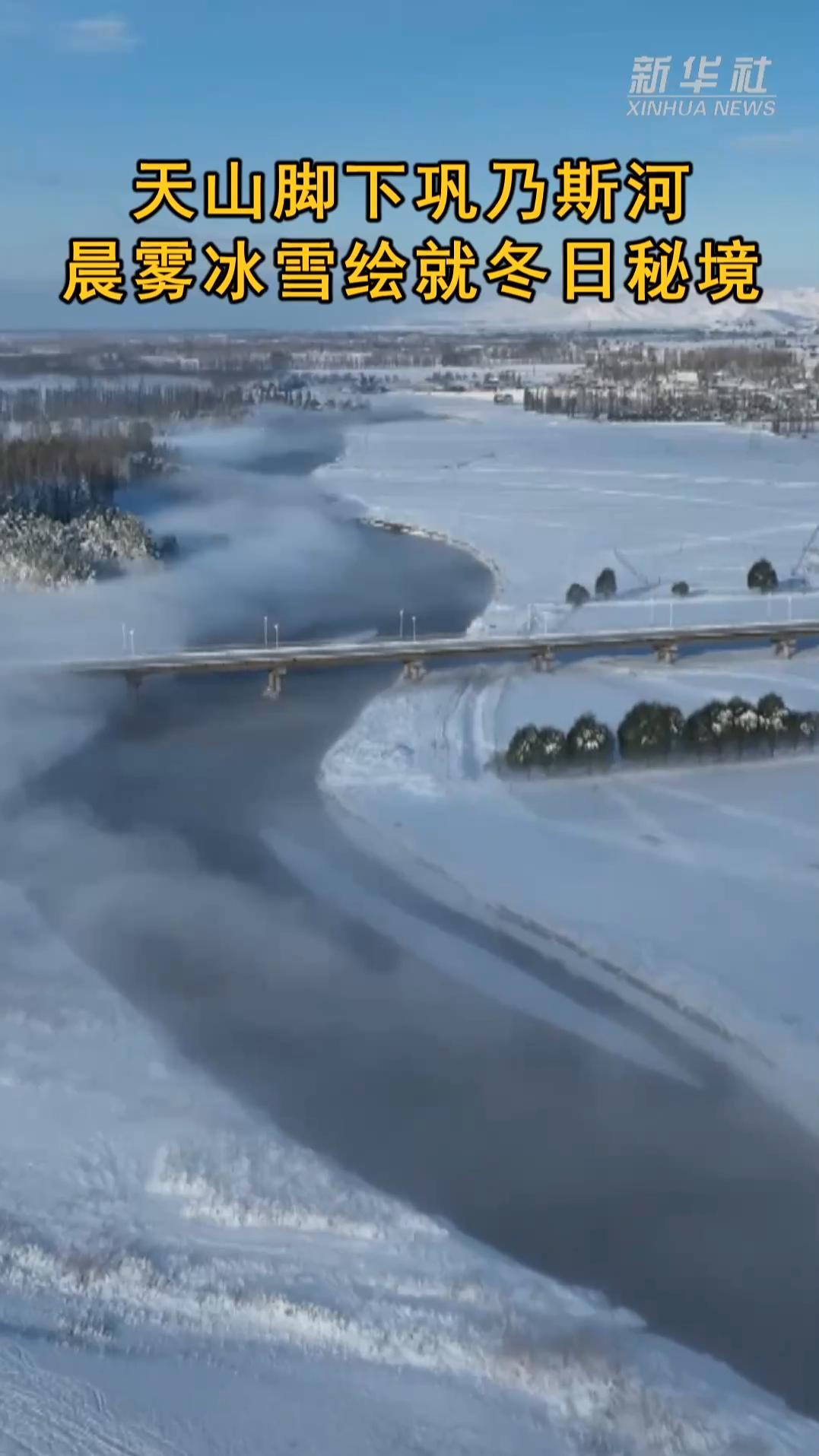 天山脚下巩乃斯河:晨雾冰雪绘就冬日秘境 天山脚下巩乃斯河:晨雾冰雪绘就冬日秘境