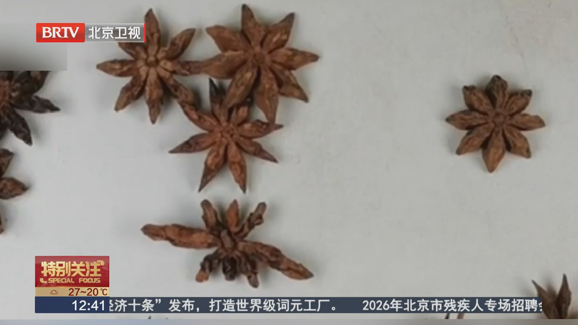 八角 莽草 分不清 辨别妙招请记牢